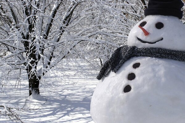 A cheerful snowman is wearing a scarf and a hat