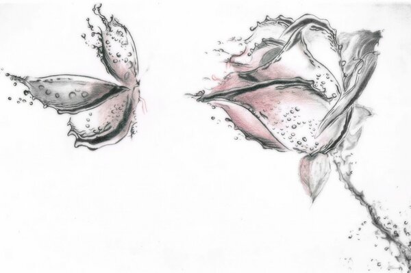 Figura farfalla broccato al fiore