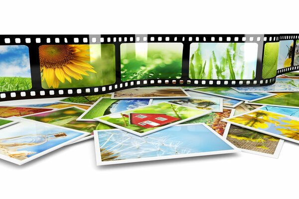 Film photo avec des images en couleur de la nature