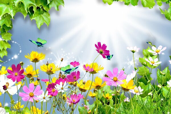 Las mariposas vuelan sobre hermosas tsaetas