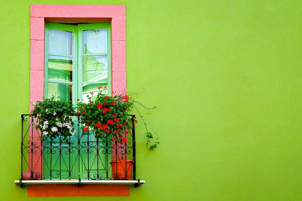 French balcony with flowers on a light green wall