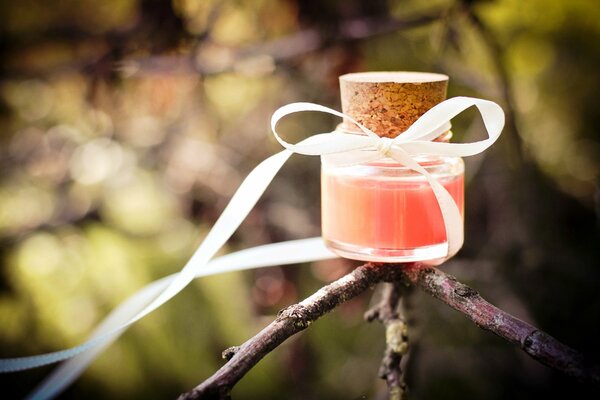 Gifts of nature in a jar with a bow