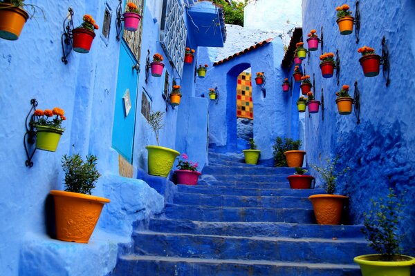 Photographie d art voie bleue