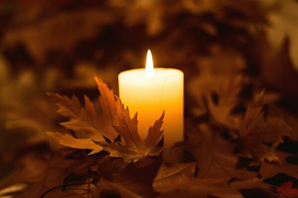 Vela encendida en hojas de arce de otoño