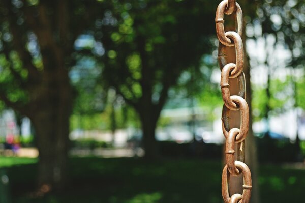 Golden chain links on a forest background