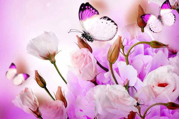 Romantic mood and everything will sparkle with new colors