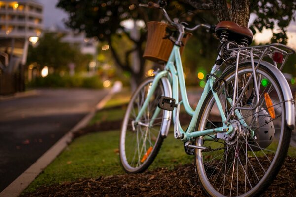 Fahrrad auf dem Abendrasen mit schönem Bokeh