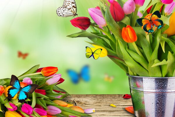 A bouquet of tulips in a bucket on a table with tulips and flying butterflies