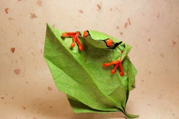 Origami. Żaba z czerwonymi oczami na liściu