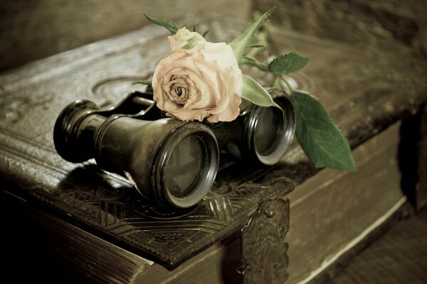 Rosa Buch und Benokle.... Lies es!