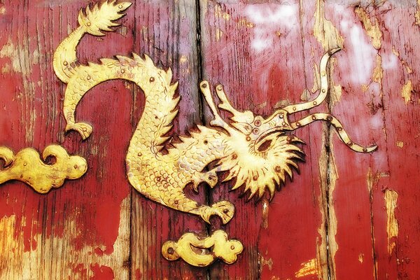 Décoration en forme de dragon sur les portes