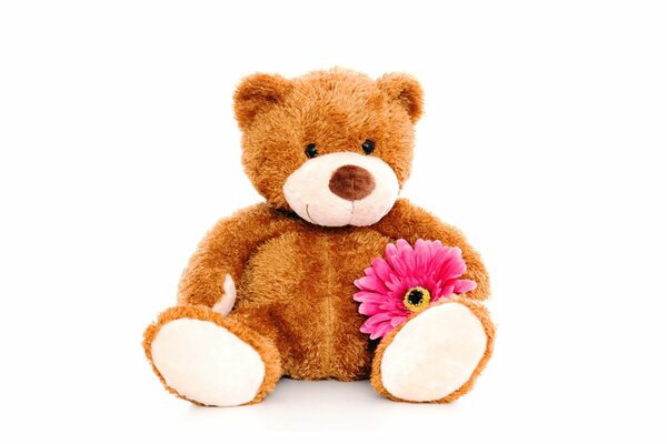 Teddy bear with a pink flower