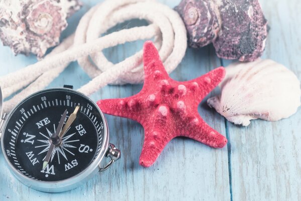 The sea on a wooden board. compass. seashells. starfish