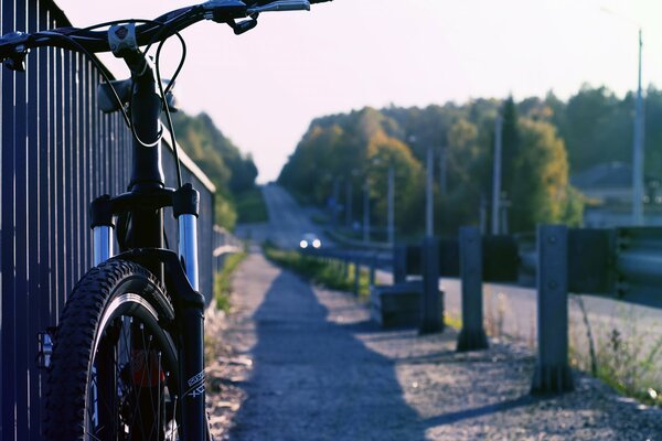 Umore soleggiato per un giro in bicicletta