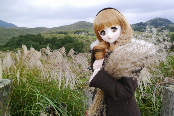 A toy doll against the background of nature