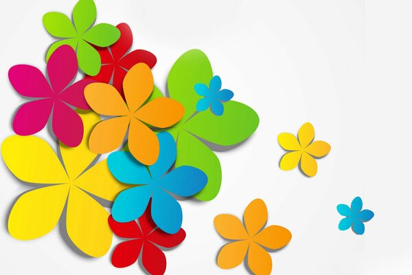Applique de pétales volumétriques de différentes couleurs