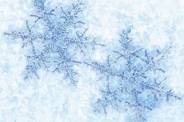 Der Winter ohne Reduktion ist wie Tee ohne Wasser