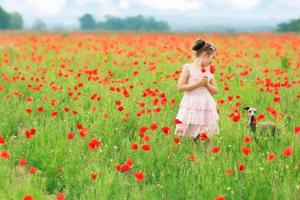 Ragazza con il cane di estate sul campo di papavero