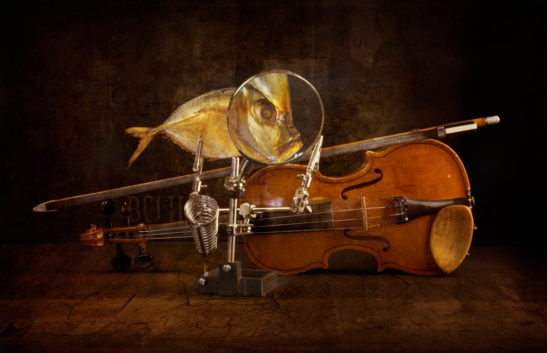 violin bow fish art