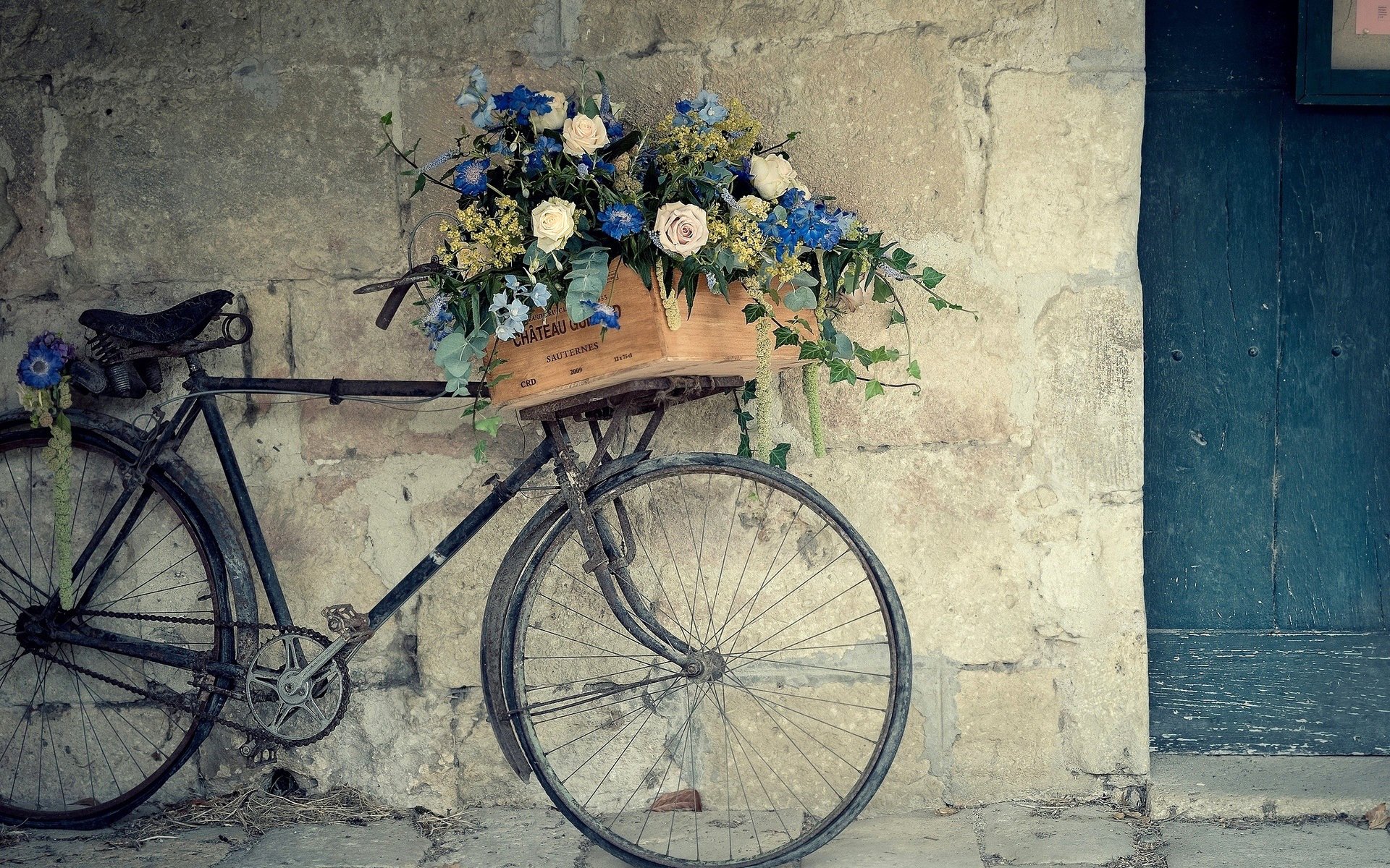 wall bike flower