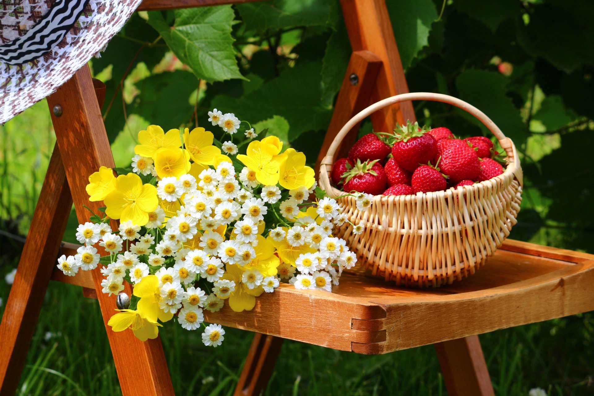 jardin cour chaise chapeau fleurs panier fraise baies