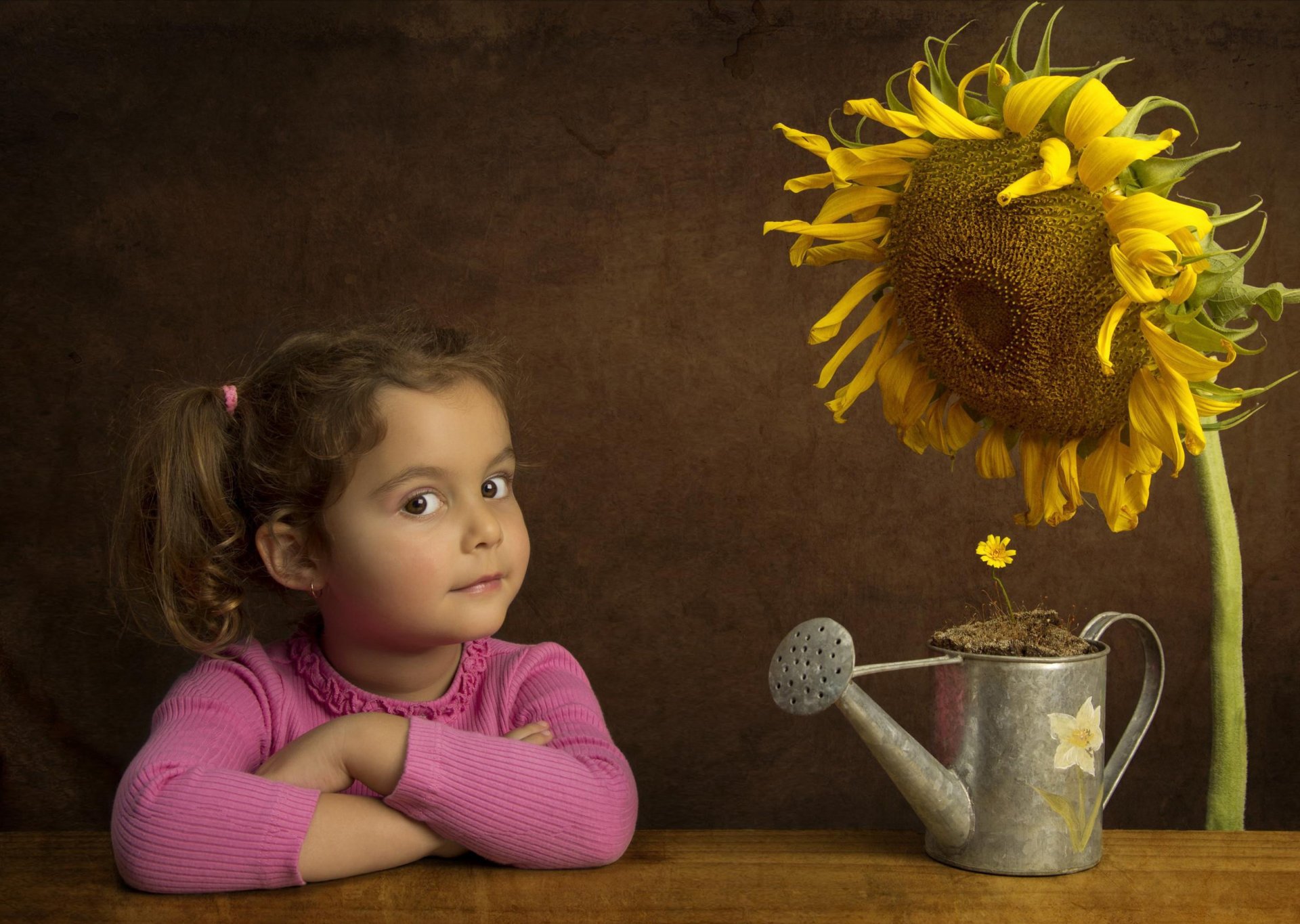 girl sunflower lake flower ♛