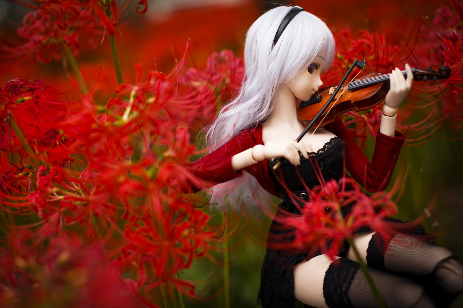 toys doll violin flower