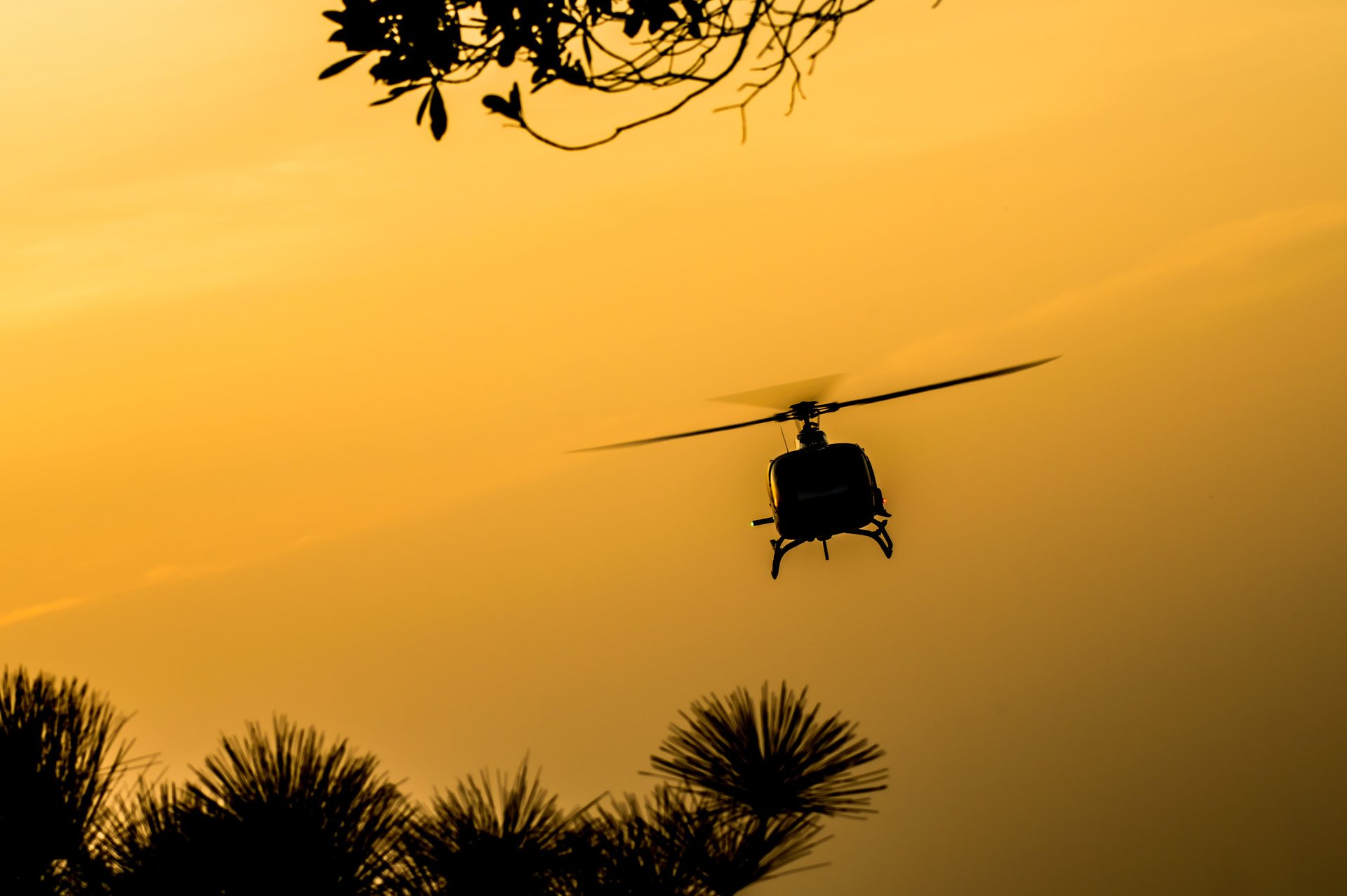 silueta helicóptero spinner vuelo hélices amanecer naturaleza hermoso fondo fondo de pantalla