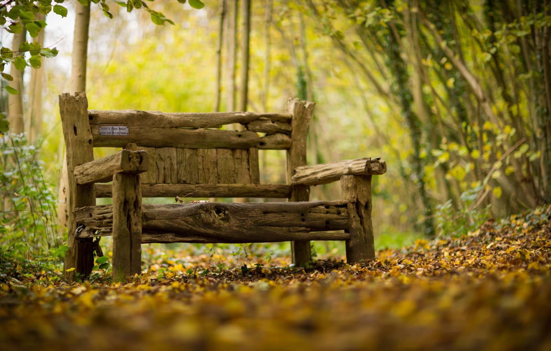 banc automne fond