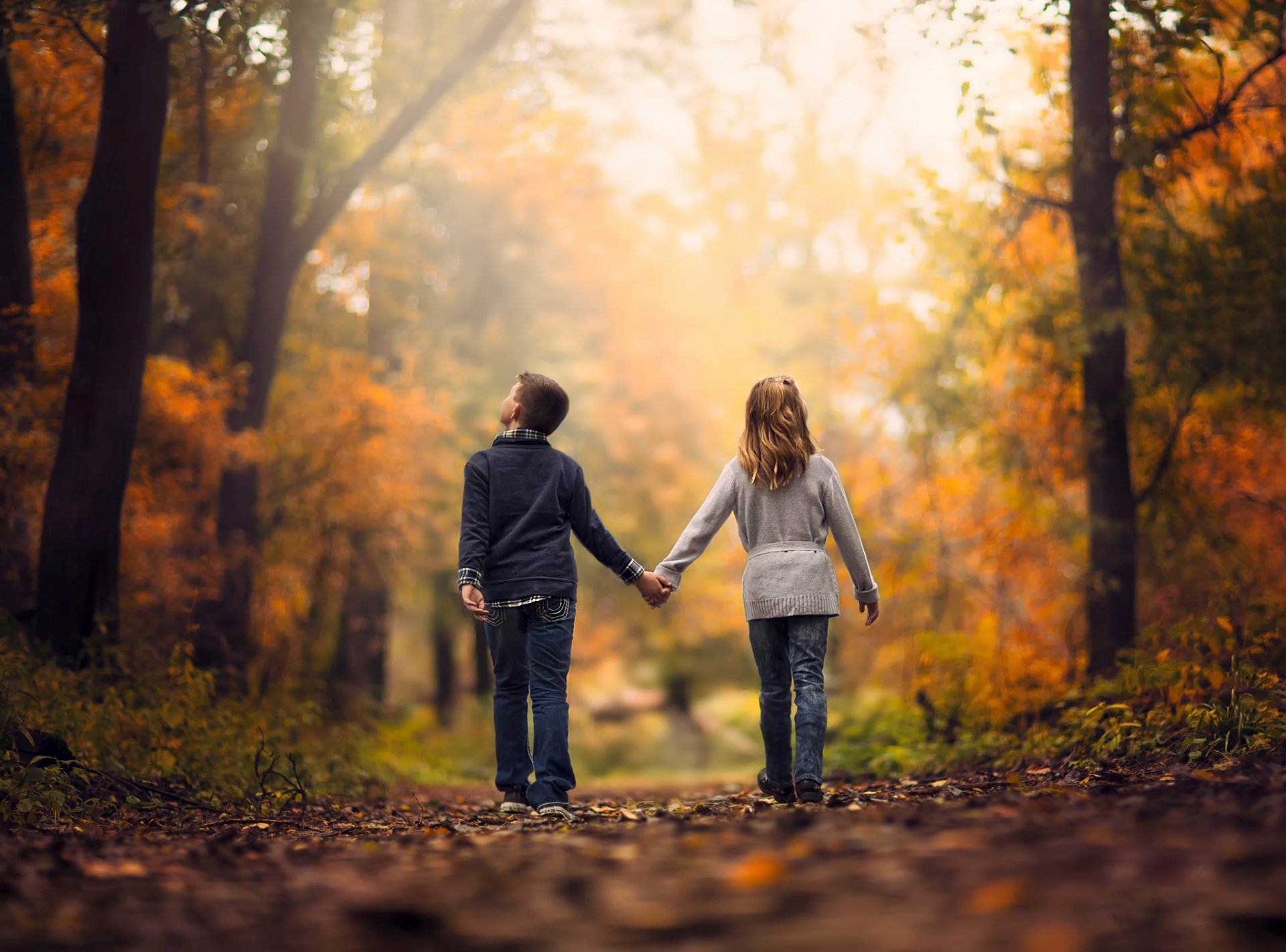 enfants automne forêt promenade