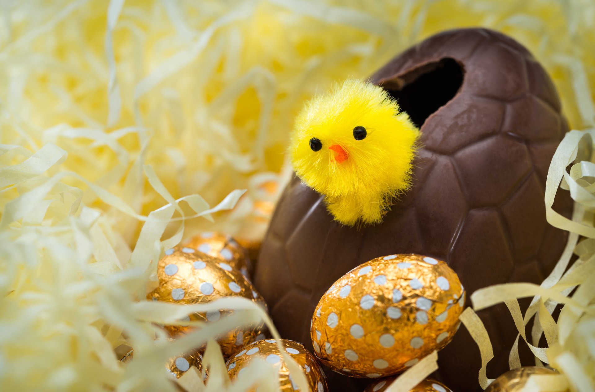 easter eggs great chocolate around gold eggs chuck hatched of the eggs watches in the world easter bokeh wallpaper