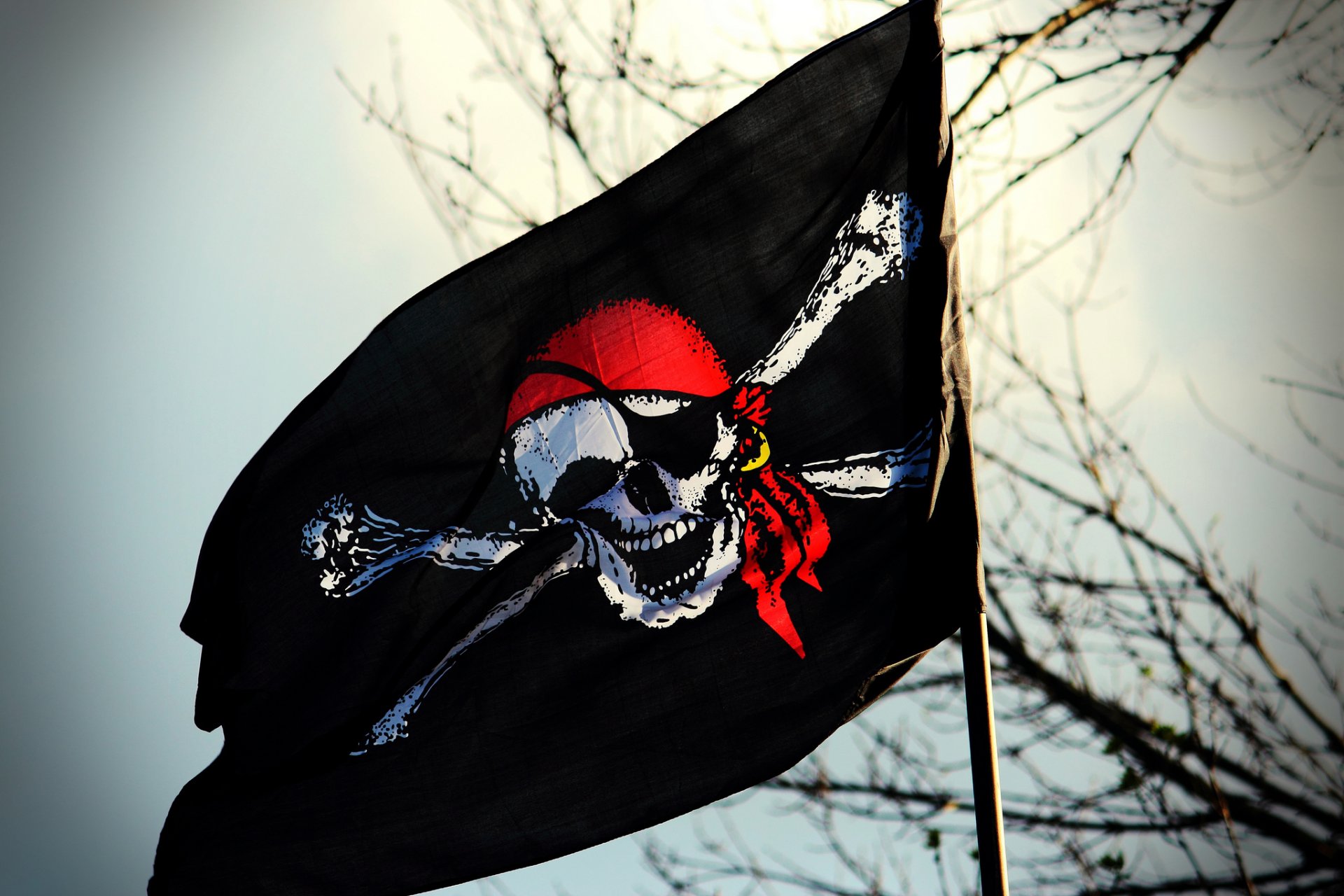 bandiera teschio jolly roger pirata