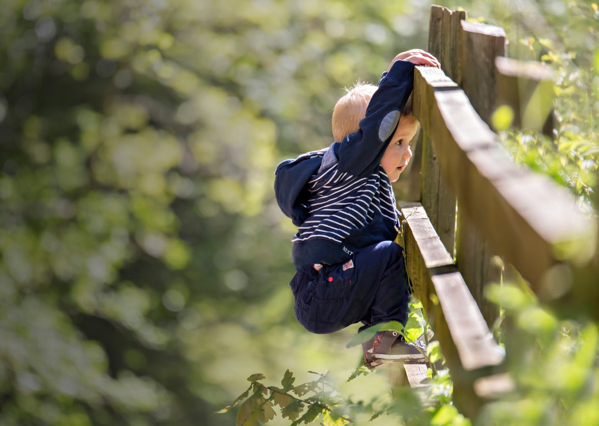 boys summer fence