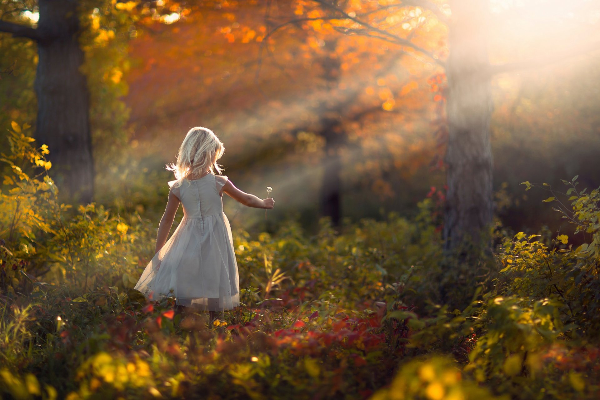 mädchen wald herbst löwenzahn natur