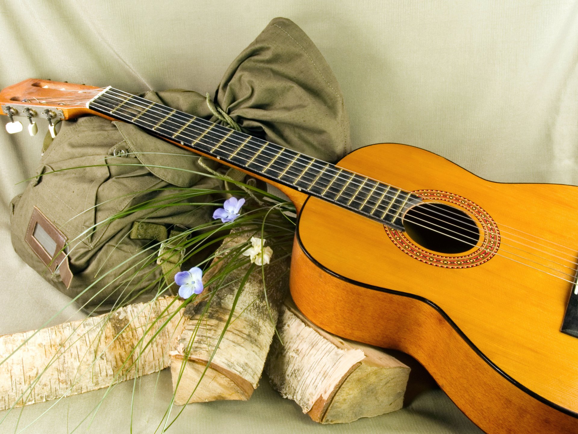 guitarra mochila flores troncos fondo romance