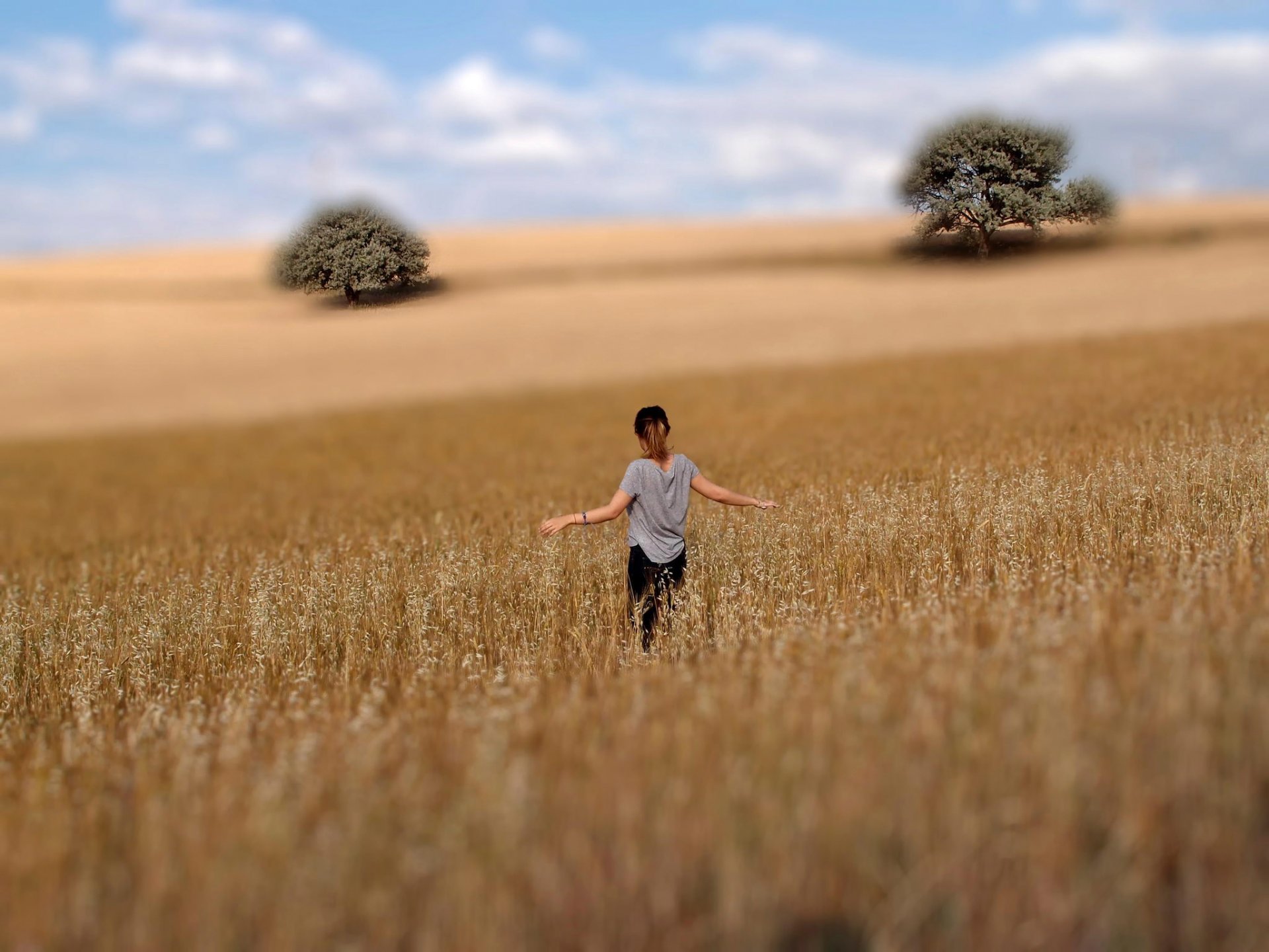 jeune fille champ arbres nature