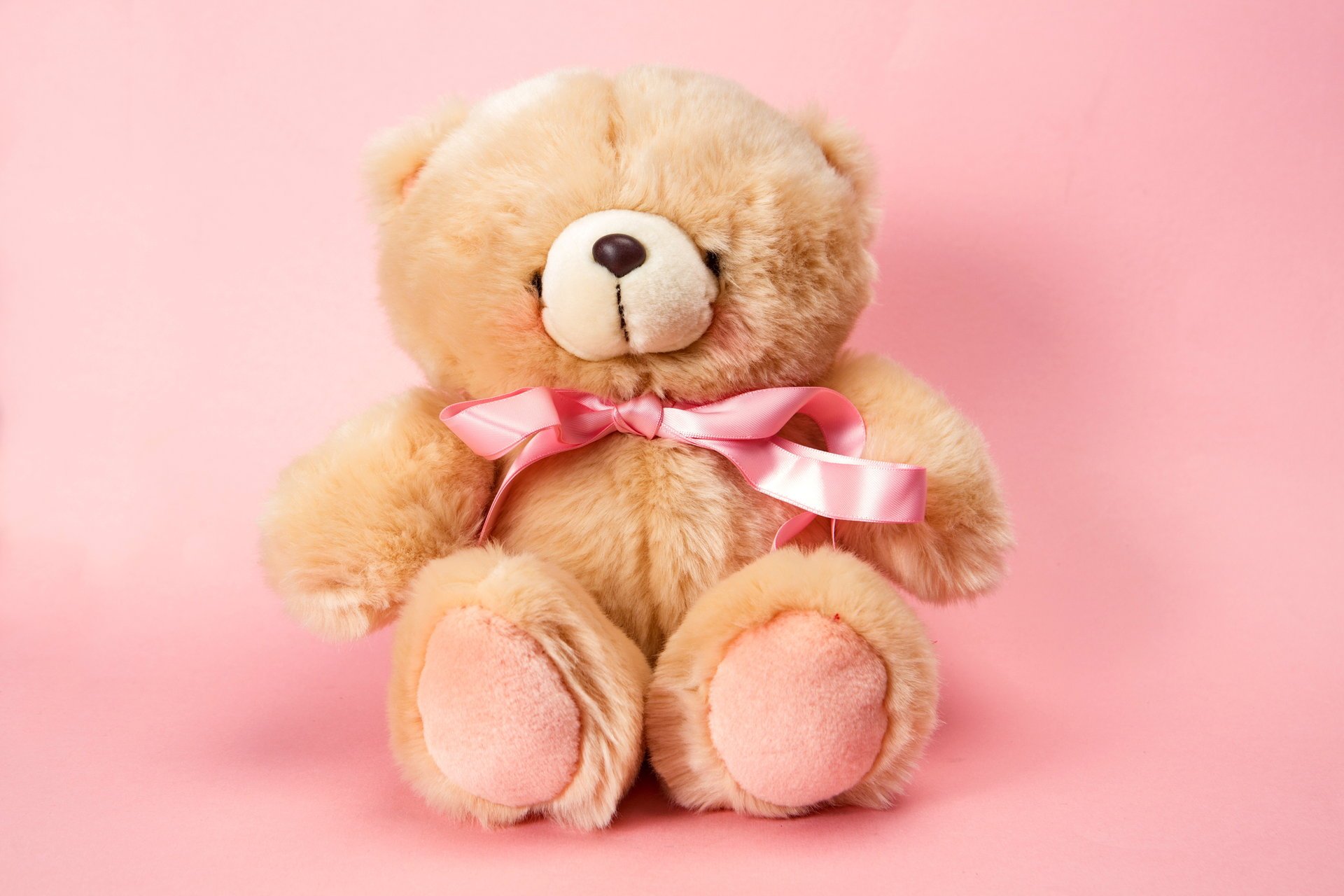 peluche ours rose jouet ours en peluche