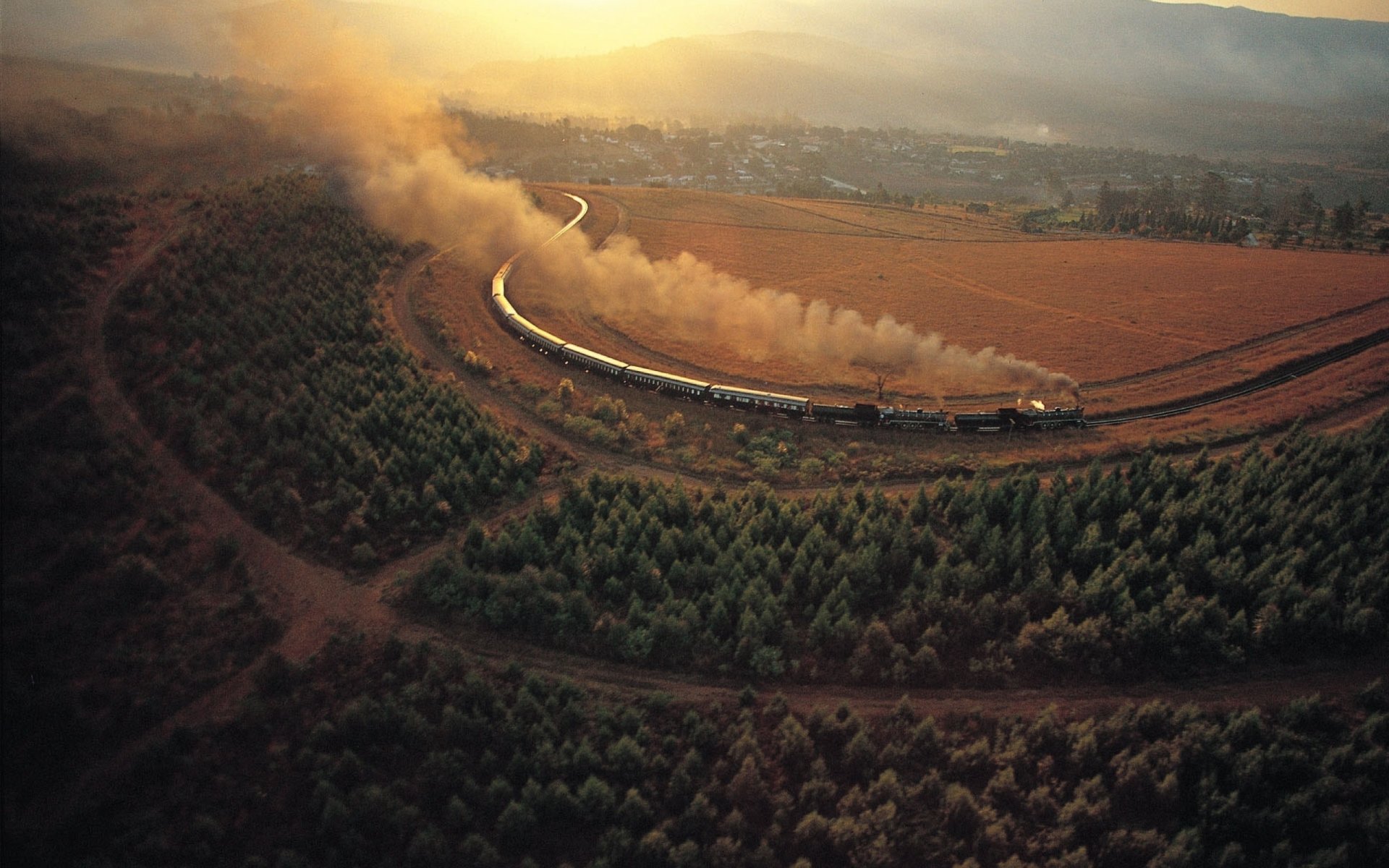 árboles ferrocarril país de side pueblo