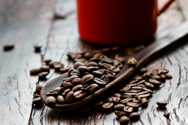 Coffee beans are scattered on the table