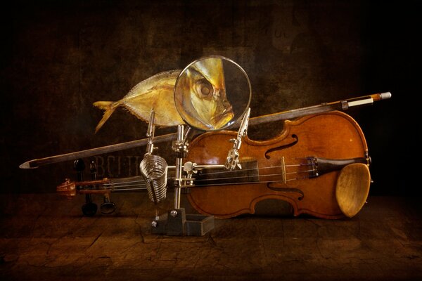Fish in a magnifying glass on the background of a violin