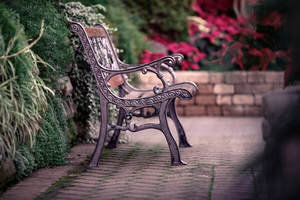 Arrêtez-vous et asseyez-vous sur le banc et regardez la nature