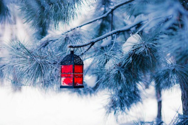 Rote Laterne am Weihnachtsbaum