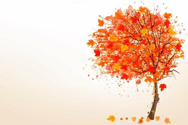 Autumn tree on a solid background