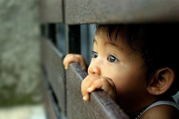 The surprised look of a child through the fence