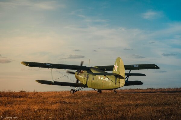 Foto eines Flugzeugs, das im Feld steht