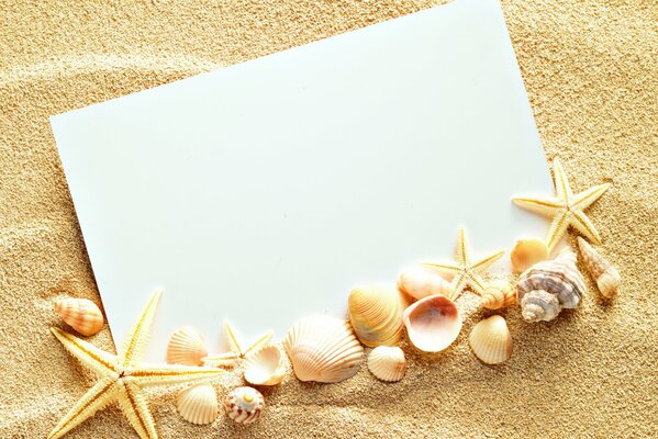 Картинка на песке белый листок с ракушками