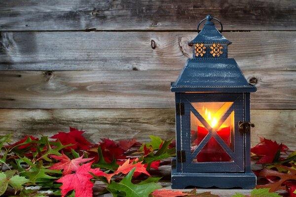 Lantern with a candle in autumn leaves