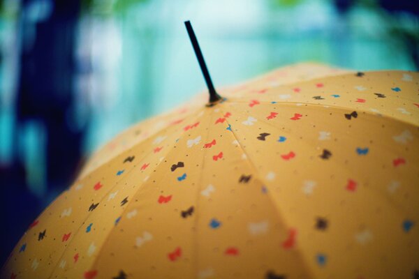 Yellow umbrella with butterflies on a blurry background