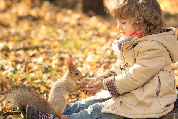 A tame squirrel sitting on a child s legs