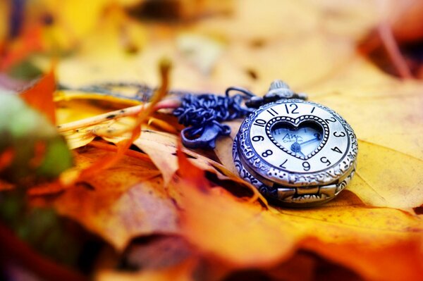 The clock is lying on yellow leaves